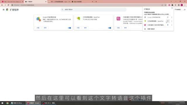 将 Speaker Text 插件固定到浏览器工具栏
