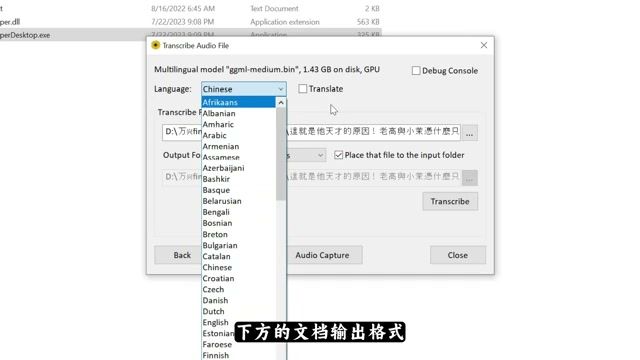 Whisper Desktop 输出格式选项